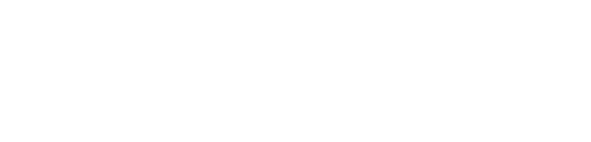 nanoActiv