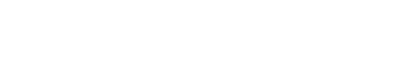 Nissan Chemical America Corporation